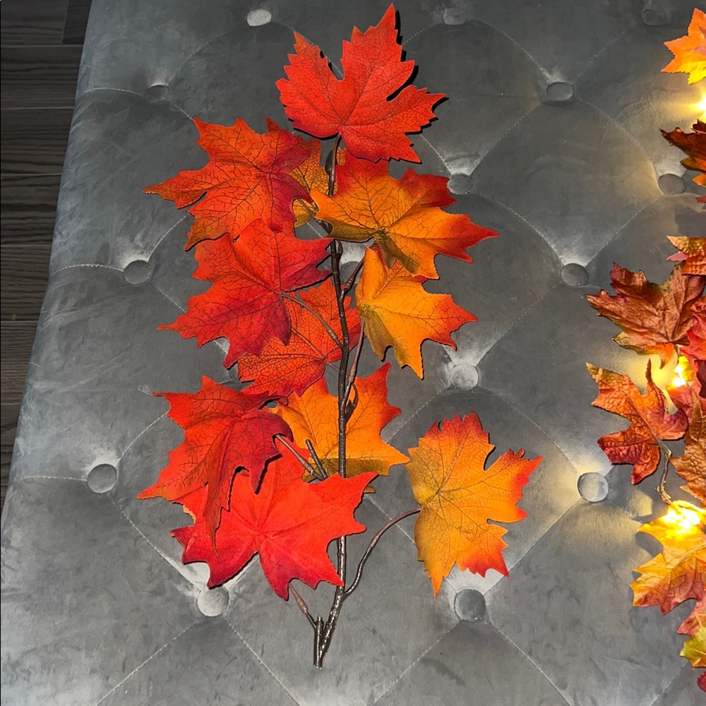 Fall decor - Picture 3 of 3